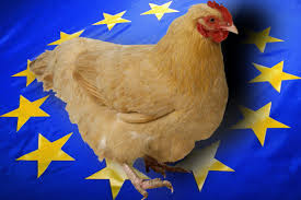 Українські агровиробники збільшують експорт курятини в країни ЄС